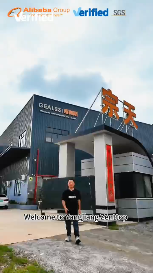 Company's live action video introduction