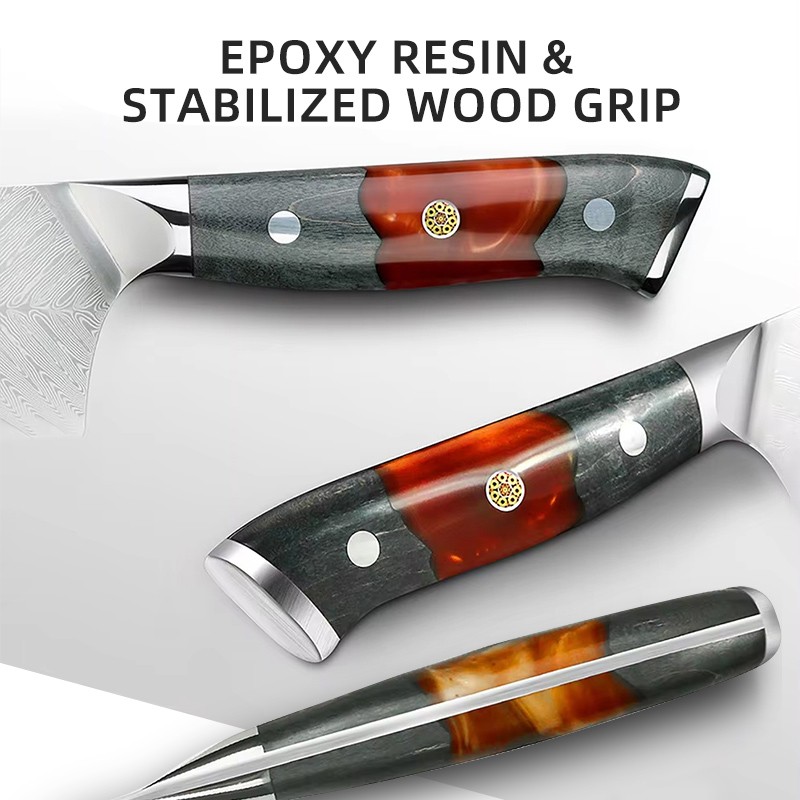 Kitchen Professional Cooking Knife Set 10-Piece Damascus Steel Kitchen Knife Set with Ergonomic Resin mix wood Handle 4
